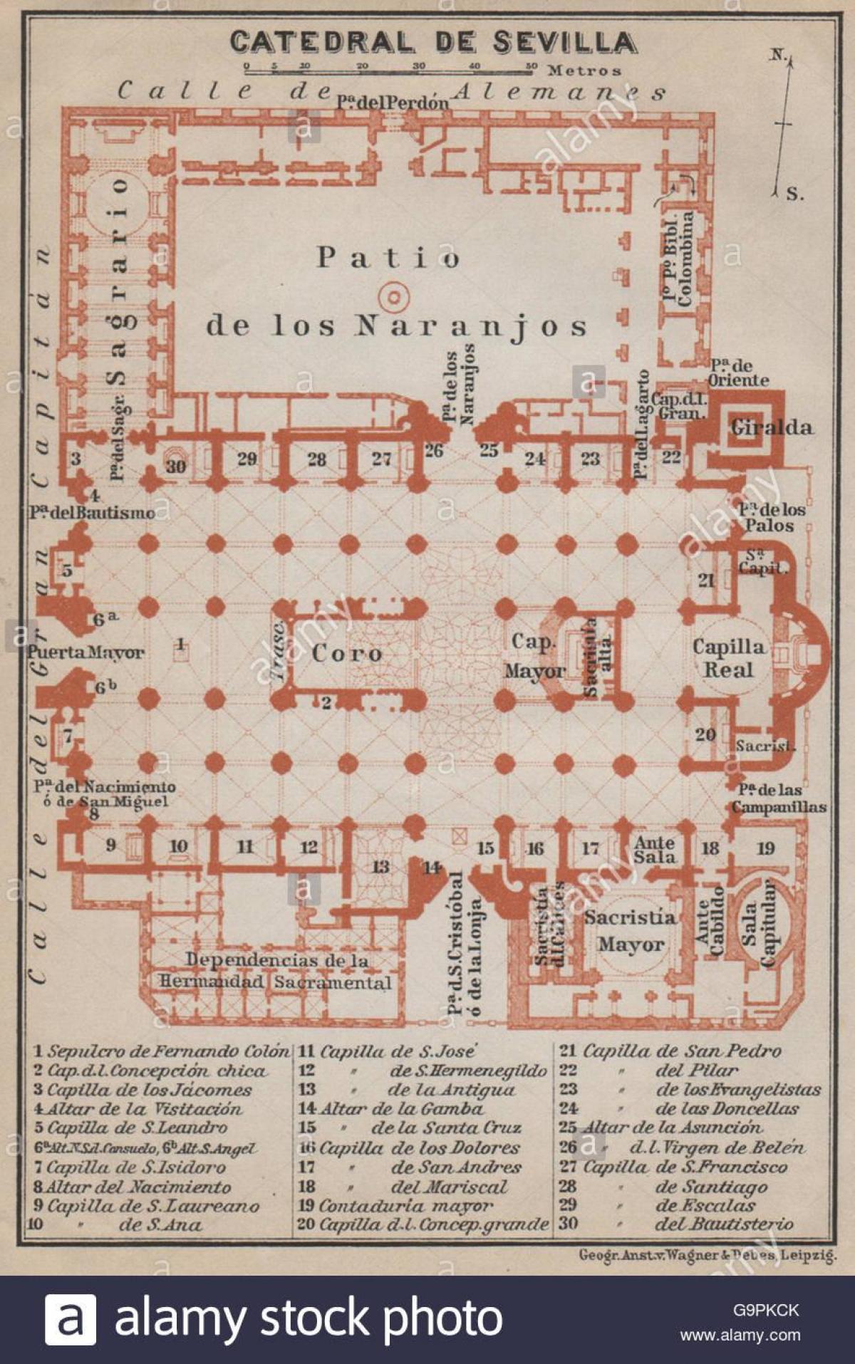 karta katedrala